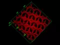 post_big/nano-liver-2014-05-14-01.jpg