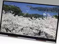 post_big/Japan_Display_4K_10.jpg