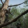 Рімейк, від якого фанати будуть у захваті: журналісти поділилися враженнями від демоверсії Metal Gear Solid Δ: Snake Eater-6