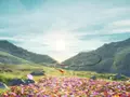 post_big/okami-sequel-1536x864.jpg