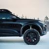Елементи дизайну Q6 Sportback E-Tron Q6 Sportback E-Tron