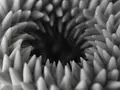 3D-скульптуры оживают в мерцающем свете