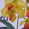Флагманская линейка Samsung Galaxy S21 и наушники Galaxy Buds Pro своими глазами-68