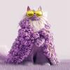 Unique cat design at Catly