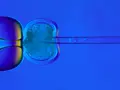 post_big/Egg-900x420.jpg