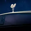 Освітлення Rolls-Royce Cullinan Cosmos