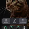 Preview of the widget