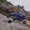 Thumbnail close-up of Rover X1