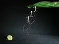 Летающий робот RoboBee прилипает к поверхностям