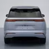 Прев'ю задньої частини BYD Datang