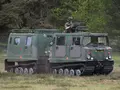 post_big/Bandvagn_206.jpeg
