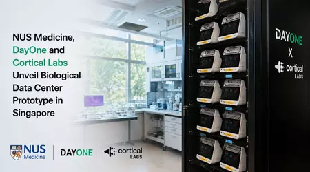 Singapore just switched on a server rack powered by living human neurons