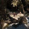 Preview of Flint: Treasure of Oblivion image 5