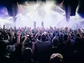 Как скачать музыку с ВК