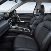 Mitsubishi Destinator - із сидіннями