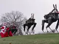 Boston Dynamics запрягла в сани Санты роботов Spot