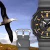 Preview of Casio G-Shock Albatross Watch