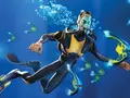 Subnautica стала бесплатной в Epic Games Store