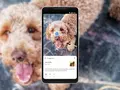 В веб-версии Google Photos появилась поддержка Google Lens