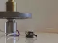 Миниатюрные роботы коллективно сдвинули автомобиль