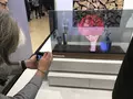 post_big/dl-panasonic-transparent_Oled.jpeg