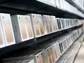Apple отзывает крупную партию iPhone 6s из-за дефекта в батарее