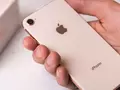 Не iPhone 9 или iPhone SE 2: новый бюджетный смартфон Apple «засветился» на сайте компании с названием iPhone SE
