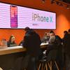 citrus_05.jpg