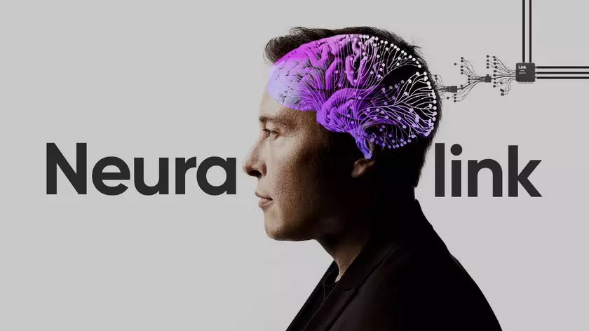 Киборги отменяются – FDA не разрешила Маску тестировать на людях чипы Neuralink, которые убивали животных