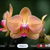 Для тех, кто знает чего хочет: обзор QLED-телевизора Xiaomi TV S Pro Mini LED 2026-102