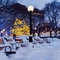 Lana.zp