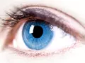 post_big/google_Kjx9Zsd.jpg