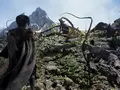 Новый трейлер Project Athia для PlayStation 5 и ПК раскрыл важные подробности об игре