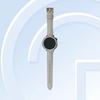 The OWW242 watch was observed on TENAA