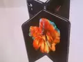 Конкурент Galaxy Z Fold 2 и Huawei Mate X2: в сети появилось изображение складного смартфона Xiaomi Mi Mix Fold