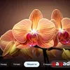 Для тех, кто знает чего хочет: обзор QLED-телевизора Xiaomi TV S Pro Mini LED 2026-103