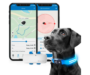 Waggit Smart Dog Collar