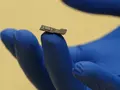 Учёными из США создан зонд, который сможет восстановить потерянное зрение