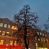 IMG_20181029_170432.jpg