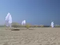 Кинетические скульптуры оживают от ветра