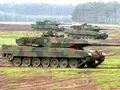 post_big/Leopard-2.jpeg