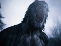 Что ты такое? Capcom показала новые скриншоты Resident Evil 8 с чудовищными врагами