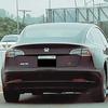 Fifth example of Tesla owner protests