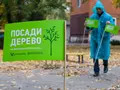 Розетка запустила акцию У̶б̶е̶й̶ ̶б̶о̶б̶р̶а̶ «Посади дерево»!