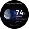 Победитель паники: обзор смарт-часов Huawei Watch GT 6 Pro Watch GT 6 Pro-79