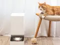 💡Умная кормушка Xiaomi для 🐈 котов и 🐕 собак