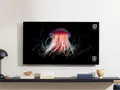 OnePlus готовит к выходу линейку смарт-телевизоров OnePlus TV U1S с 4K-экранами от 50 до 65 дюймов, динамиками Dynaudio на 30 Вт и Android 10