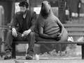 Верится с трудом, но сотни пользователей встали в очереди на вход в эксклюзивный сайт, и вам тоже стоит (наверное)