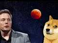 Илон Маск заявил о поддержке Dogecoin, несмотря на $256-млрд иск, чем резко поднял стоимость криптовалюты