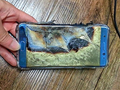 Samsung Galaxy Note 7 из новой партии взорвался в руках владельца